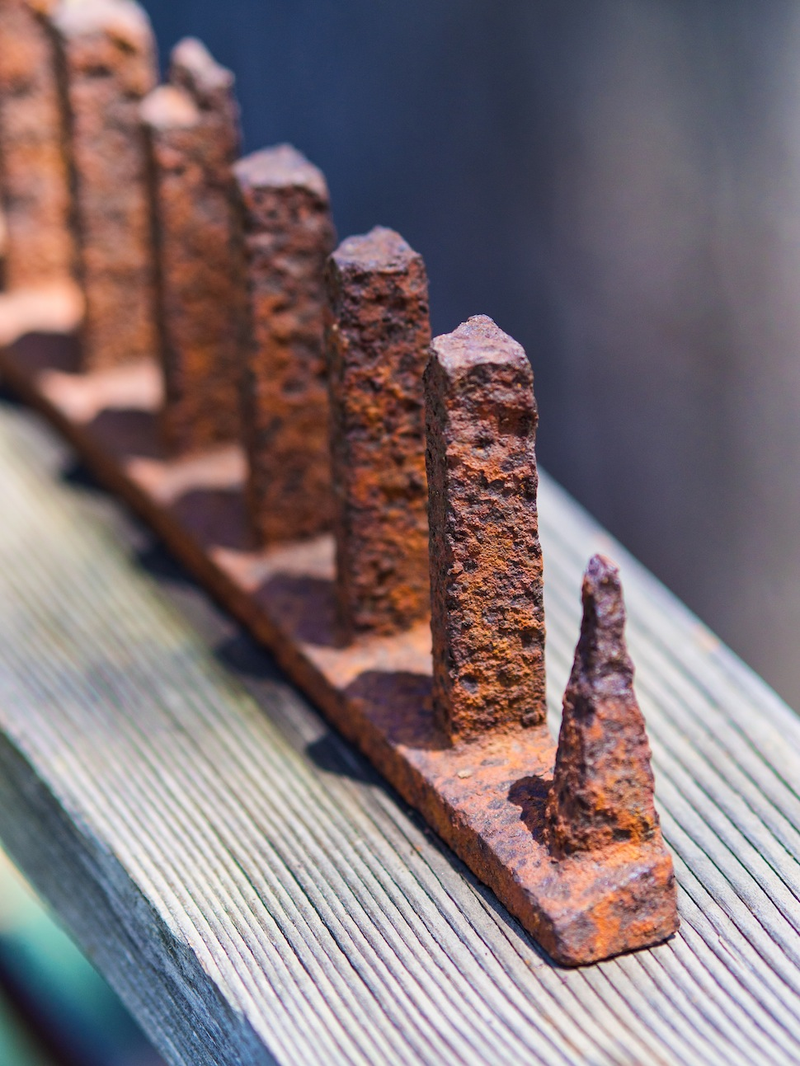 Illustration for article titled 27 Radiant Photos Of Rust
